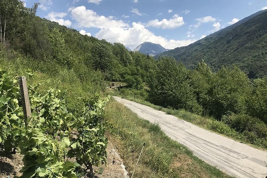 Sentier de la Saulce (Brides-les-Bains)