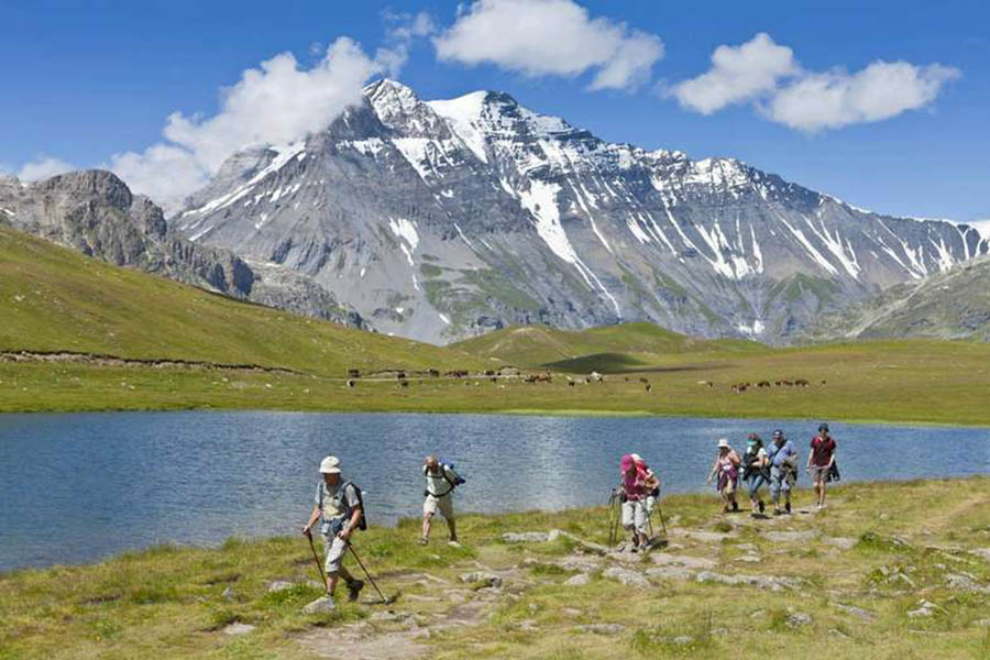 Go hiking in an organised group