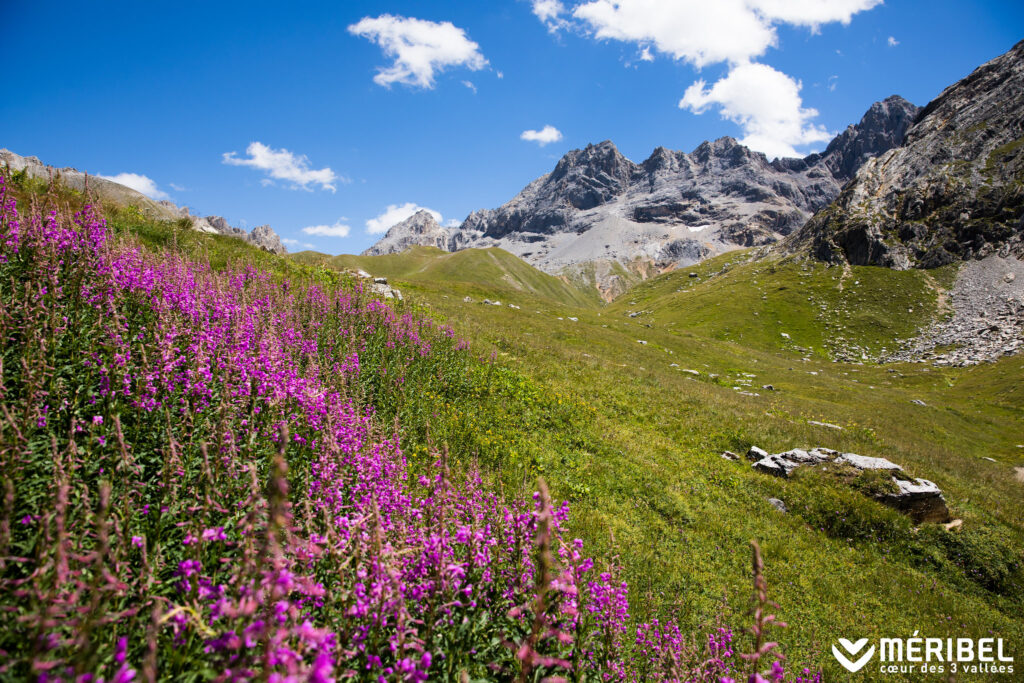 Et si vous choisissiez Brides-les-Bains pour vos prochaines vacances estivales ?