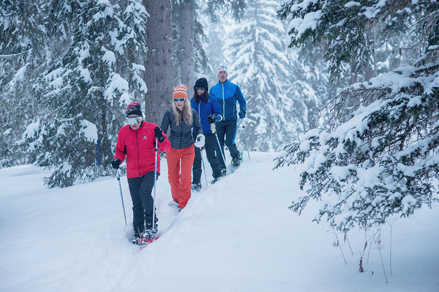 Take a snowshoeing break for your health!