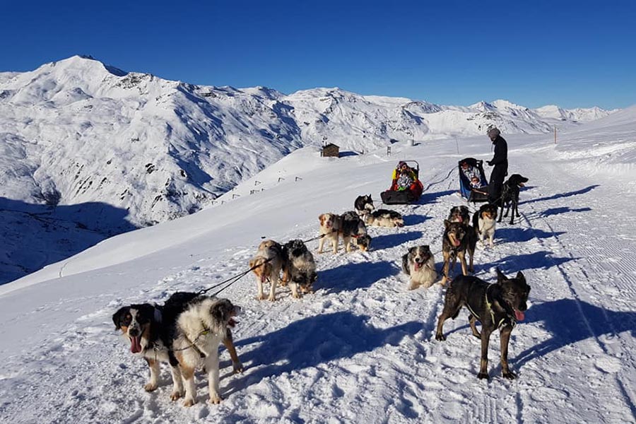 Dog sled ride along the Doron des Belleville