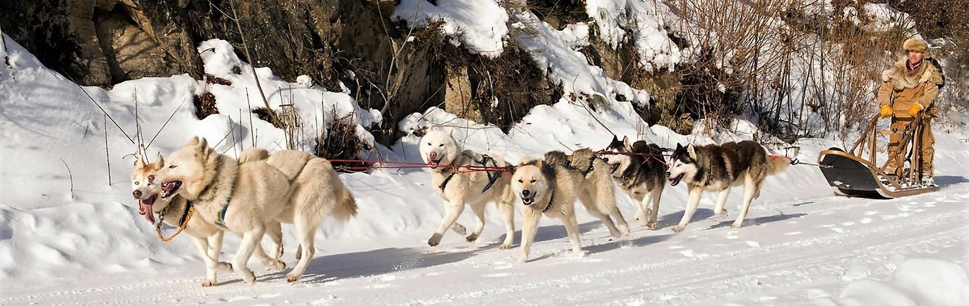 Dog sledding in Les 3 Vallées: routes & rides | Brides-les-Bains