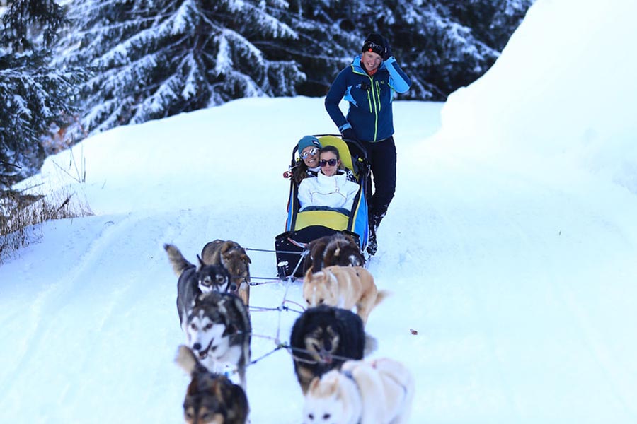 Dog sledding through Courchevel’s alpine forest