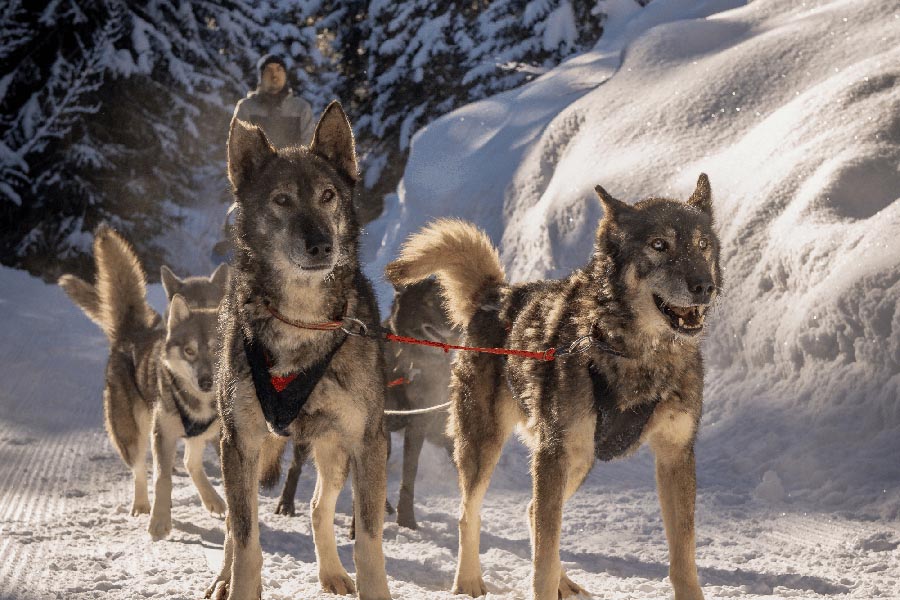 Nordic-style route across the Courchevel plateaus